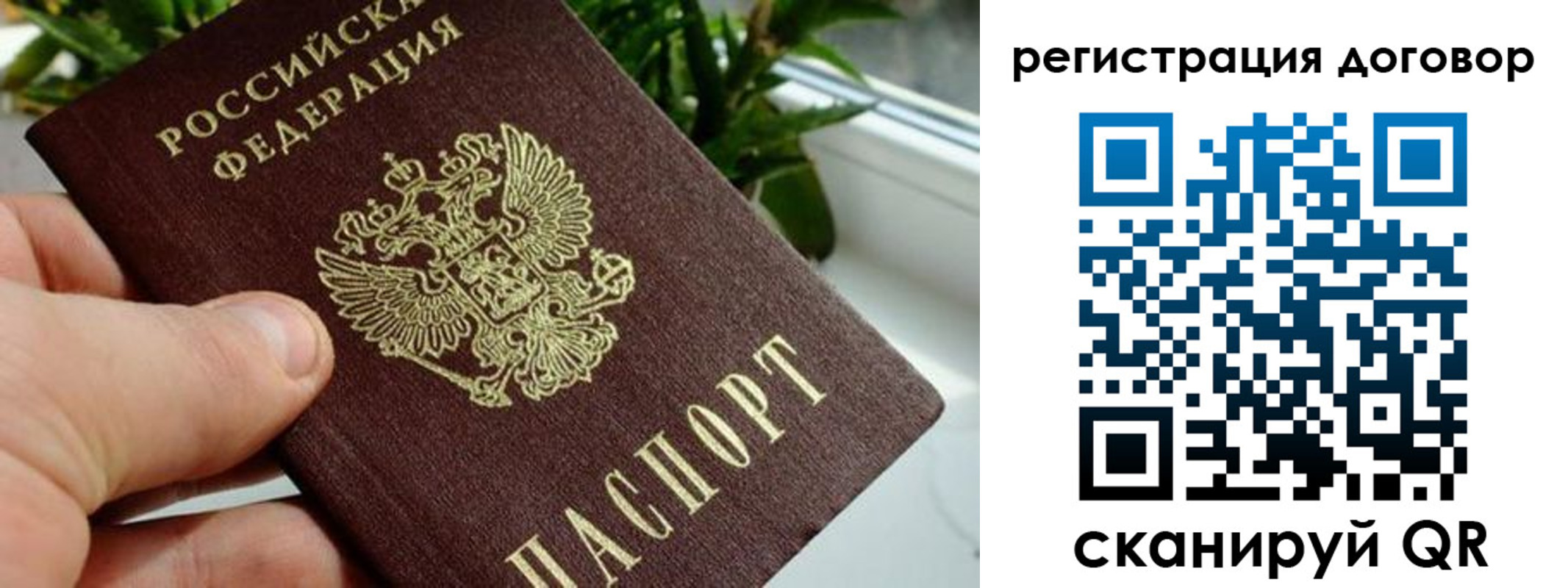 прописка ребенка в Звенигово